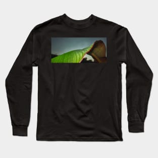 Red Banana Leaf Long Sleeve T-Shirt